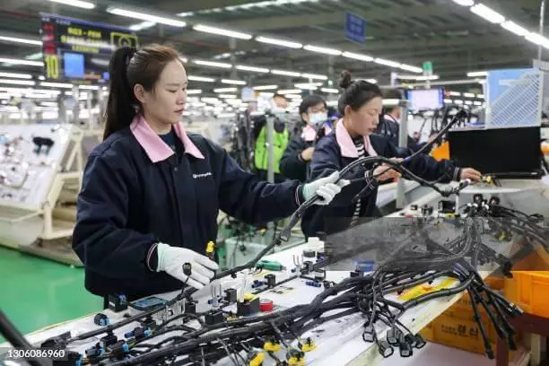 Harness Assembly
