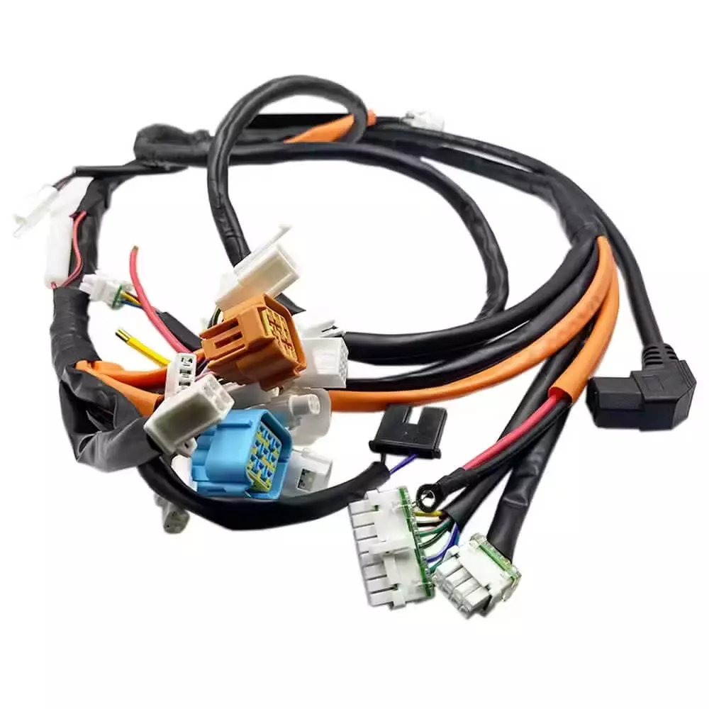 Custom-Multi-branch-Harness