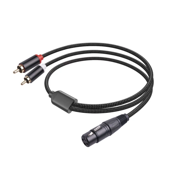 Audio-Only, Video-Only, and Combined Connections
